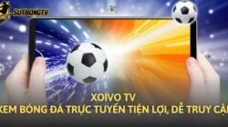 Xoivo TV Xem Bóng Đá Trực Tuyến Tiện Lợi, Dễ Truy Cập